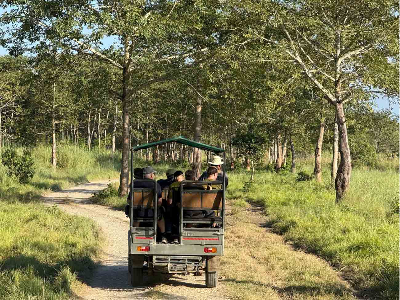 Dschungel-Safari-im-Nationalpark