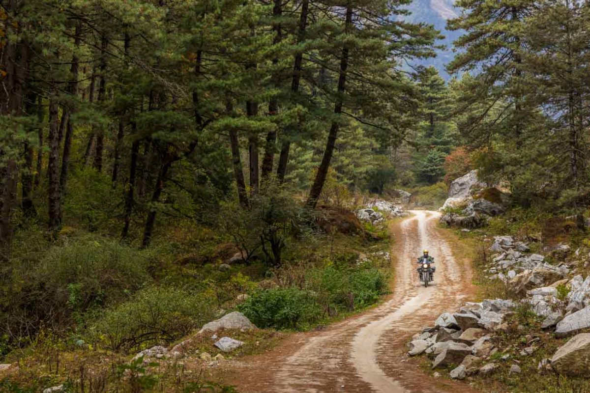 Durch-den-Wald-in-Nepal-mit-dem-Motorrad-1200×800