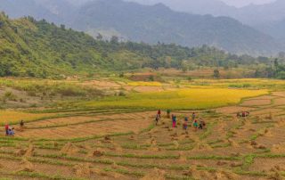 Nepaler-arbeiten-auf-einem-Feld-in-Nepal-1200×800