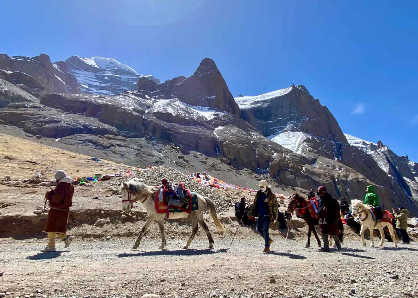 Tibetische Ponys auf Kailash Mansarovar Yatra